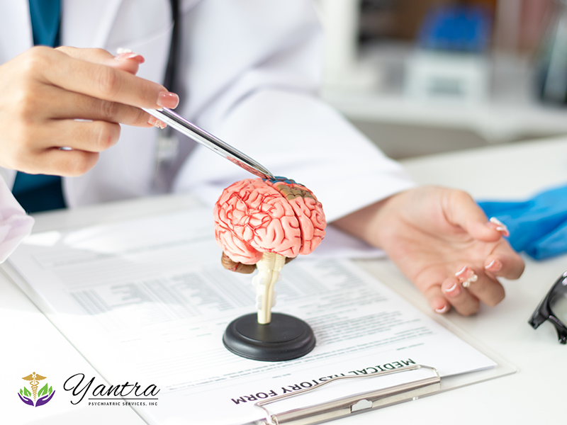 Neurotransmitter Testing Lakeland Florida